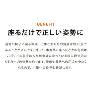 【正規品 3年保証】 balans バランスチェア 姿勢保持 北欧 カバー 取り替えられる イス 椅子 学習机 リモートワーク 在宅 姿勢  学習チェア イス 椅子 いす 学習イス チェア チェアー 猫背 背筋 ピン 子供 子供用 こども こども用 大人 学習 勉強 (代引不可)