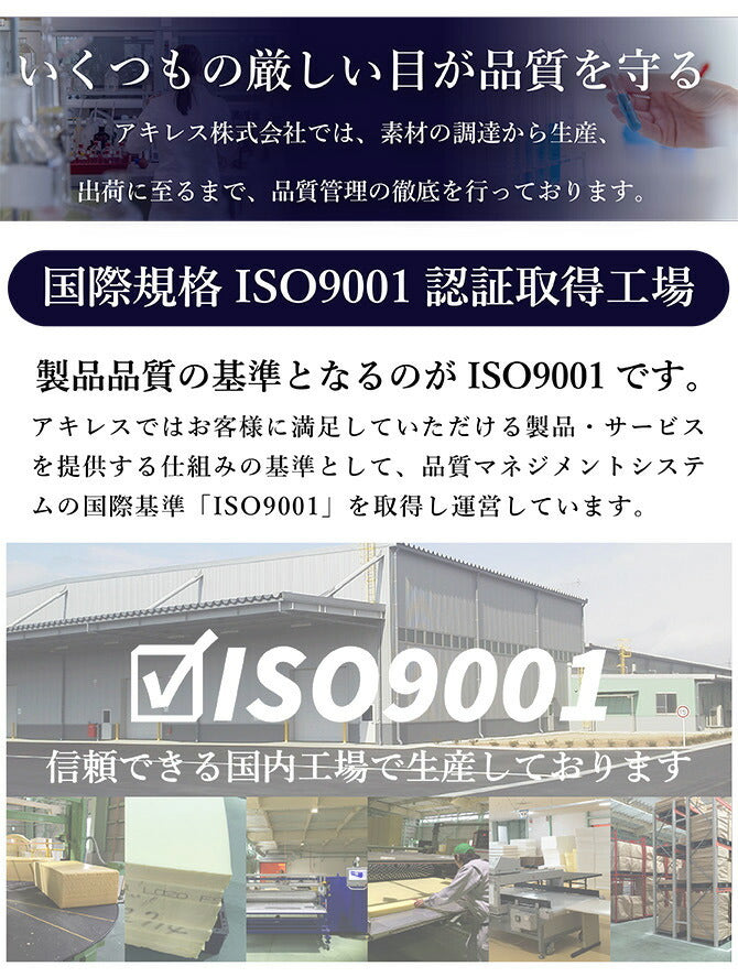 アキレス Achilles THE UDERAKU ウデラク 背もたれクッション ごろ寝クッション 腕まくら ブラウン ベージュ グリーン サックス スマートフォンクッション(代引不可)