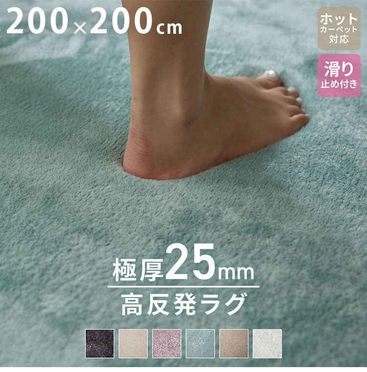 極厚高反発ラグ 200×200cm 極厚25mm 正方形 フランネル 撥水 防音 滑り止め付 クッション性 マイクロファイバー オールシーズン ラグ ラグマット マット カーペット ラグカーペット ウレタン【