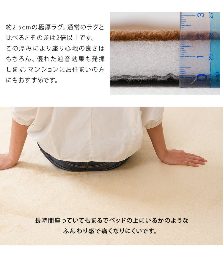 極厚低反発ラグ 200×250cm 長方形 無地 滑り止め付 ホットカーペット対応 低反発 抗菌 防ダニ 撥水 遮音効果 北欧 おしゃれ リビング ラグ ラグマット カーペット マット 絨毯 ラグカーペット 韓国インテリア