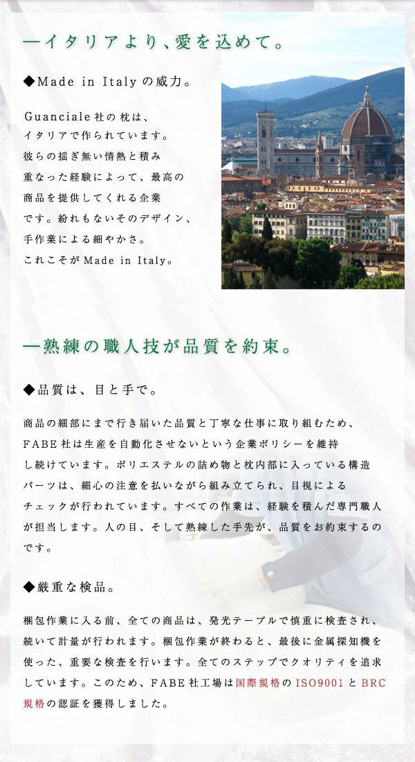 単品 オルトペディコ枕 専用カバー 50×80 イタリア製 まくらカバー 洗える エコテックス100認証 わた ビバルディ グアンシアレ(代引不可)【メール便】