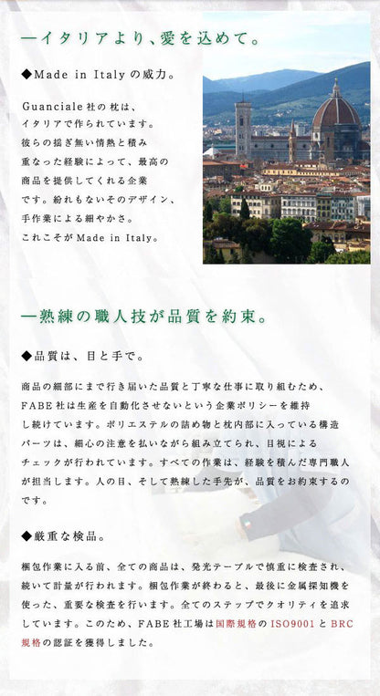 2枚組 オルトペディコ枕 専用カバー 50×80 イタリア製 まくらカバー 洗える エコテックス100認証 わた ビバルディ グアンシアレ(代引不可)【メール便】