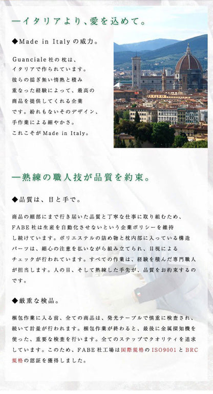 専用カバーセット オルトペディコ枕 50×80 イタリア製 まくらカバー 洗える スエコテックス100認証 ビバルディ グアンシアレ