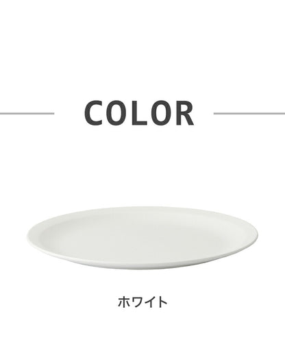 ライクイット プレートのみ 米研ぎ 米とぎ キッチン プラスチック ボウル 耐熱 調理道具 ざる ボウル セット 米とぎざる 日本製 Colander&Bow(代引不可)