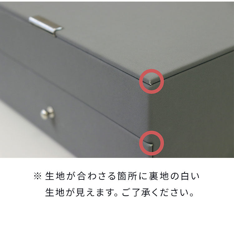 ジュエリーボックス Gage 2段 ゲージ アクセサリーボックス ジュエリーケース 収納 大容量 コンパクト 省スペース 宝石箱 ピアス イヤリング 指輪 リング おしゃれ かわいい プレゼント ギフト 贈り物(代引不可)