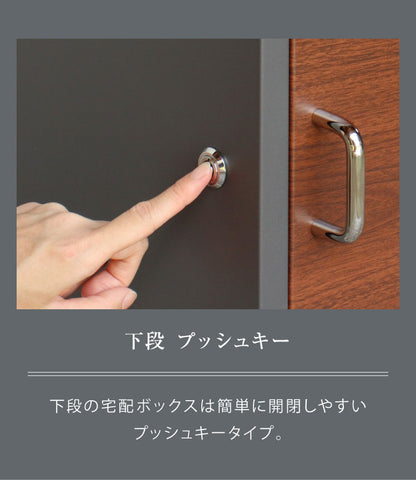 宅配ボックス付ポスト Dante 宅配ボックス ポスト スタンドポスト 宅配 郵便 郵便受け さびにくい 錆びにくい 大型 屋外 置き配 玄関 戸建て 省スペース コンパクト 大容量 ダンテ PBX-115 PBX-116(代引不可)