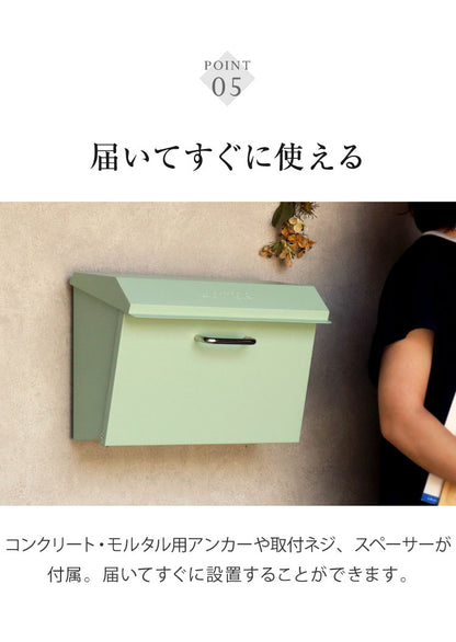 壁掛けポスト Dafne 壁掛け メールボックス 壁付け 宅配 郵便 郵便受け さびにくい 錆びにくい 小型 屋外 置き配 玄関 戸建て 省スペース コンパクト 大容量 一軒家 マンション アパート ダフネ(代引不可)