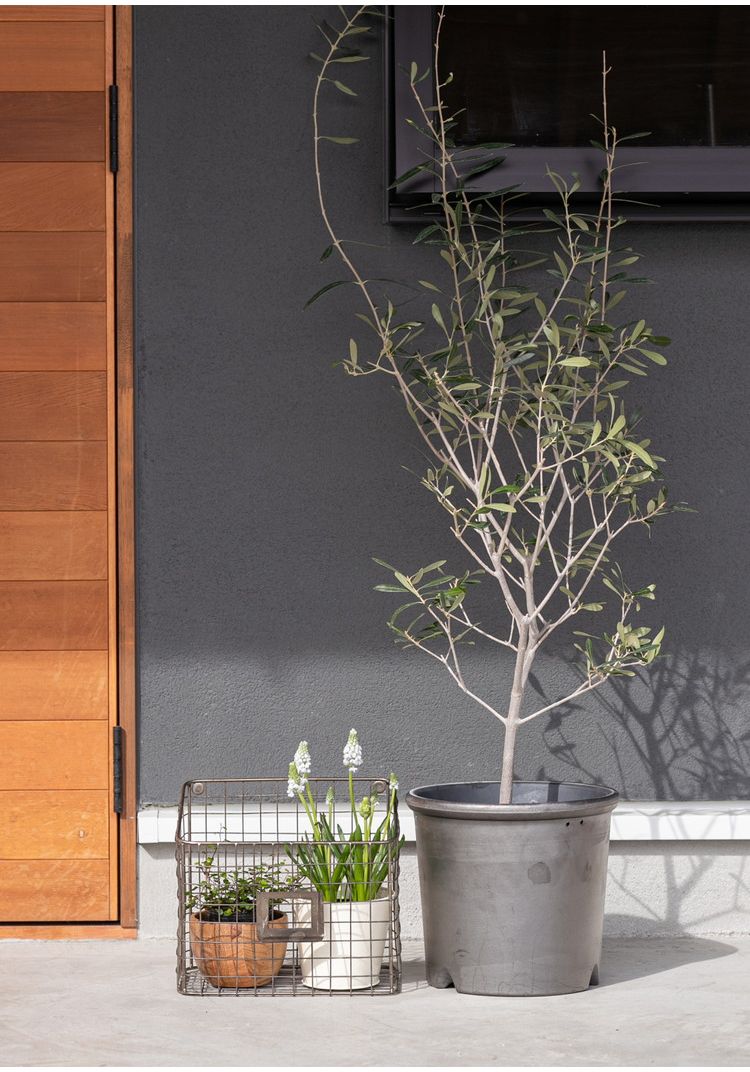 ワイヤーバスケット ワイドタイプ ガーデン 屋外 室内 植木鉢 収納家具 おしゃれ シンプル かわいい レトロ スチール 一人暮らし(代引不可)