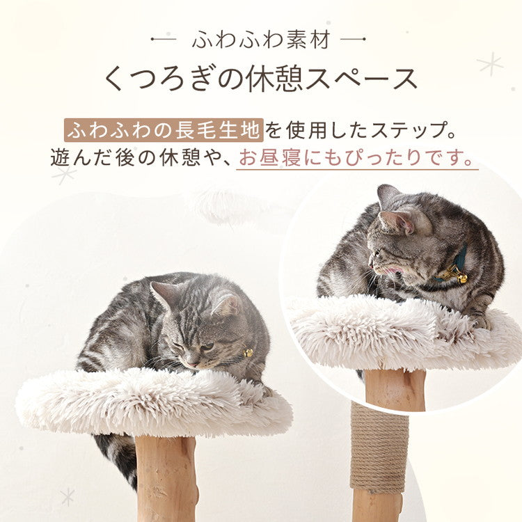 天然木を使った キャットタワー 自然木 据え置き キャットツリー 猫タワー 猫ツリー 爪とぎ 麻紐 大型 大きい 多頭 多頭飼い おしゃれ かわいい 猫用 ペット用 wanyanya わにゃにゃ