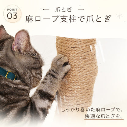 天然木を使った キャットタワー 自然木 据え置き キャットツリー 猫タワー 猫ツリー 爪とぎ 麻紐 大型 大きい 多頭 多頭飼い おしゃれ かわいい 猫用 ペット用 wanyanya わにゃにゃ