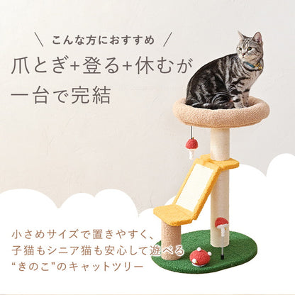 きのこ型 キャットタワー 小型 コンパクト 据え置き キャットツリー 猫タワー 猫ツリー 爪とぎ 麻紐 きのこ 小さい 省スペース おしゃれ かわいい 猫用 ペット用 wanyanya わにゃにゃ
