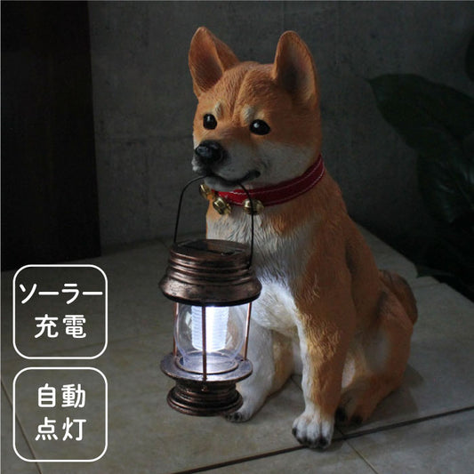 ソーラーライト付柴犬ポチ アニマル 照明 ライト ランプ 照明器具 デスクライト テーブルランプ スタンドライト 電気スタンド 卓上ライト 玄関 屋外 アウトドア 自動点灯 エントランス 庭 かわいい(代引不可)
