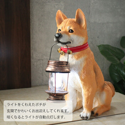 ソーラーライト付柴犬ポチ アニマル 照明 ライト ランプ 照明器具 デスクライト テーブルランプ スタンドライト 電気スタンド 卓上ライト 玄関 屋外 アウトドア 自動点灯 エントランス 庭 かわいい(代引不可)