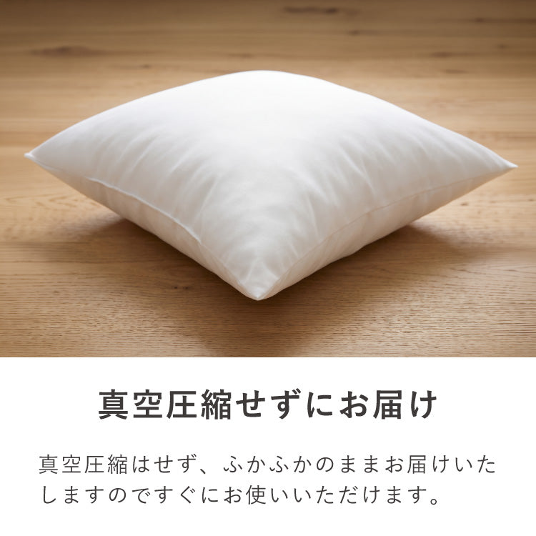 ヌードクッション 50×50 2個セット 高耐久 長持ち 日本製 洗える ふかふか 肉厚 中身 中材 国産 洗えるクッション ウォッシャブル 清潔 セット