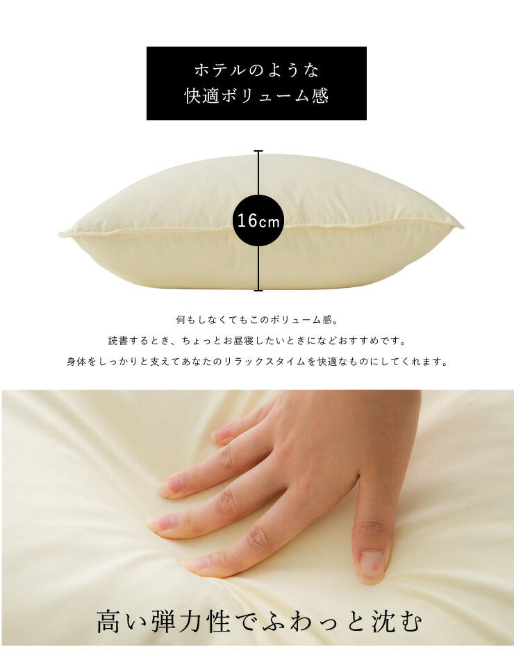 2個組 フェザー クッション 45×45cm ホテルクッション ヌードクッション クッション ホテル仕様 クッション中身 背当て 座布団 羽根 羽 綿100% 天然素材 中材 中身 中芯 無地 おしゃれ