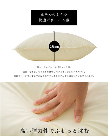 2個組 フェザー クッション 45×45cm ホテルクッション ヌードクッション クッション ホテル仕様 クッション中身 背当て 座布団 羽根 羽 綿100% 天然素材 中材 中身 中芯 無地 おしゃれ