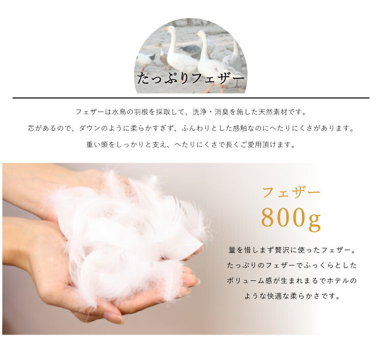 2個組 フェザー クッション 45×45cm ホテルクッション ヌードクッション クッション ホテル仕様 クッション中身 背当て 座布団 羽根 羽 綿100% 天然素材 中材 中身 中芯 無地 おしゃれ