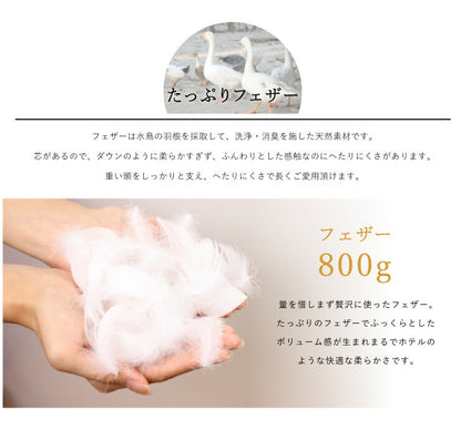 2個組 フェザー クッション 45×45cm ホテルクッション ヌードクッション クッション ホテル仕様 クッション中身 背当て 座布団 羽根 羽 綿100% 天然素材 中材 中身 中芯 無地 おしゃれ