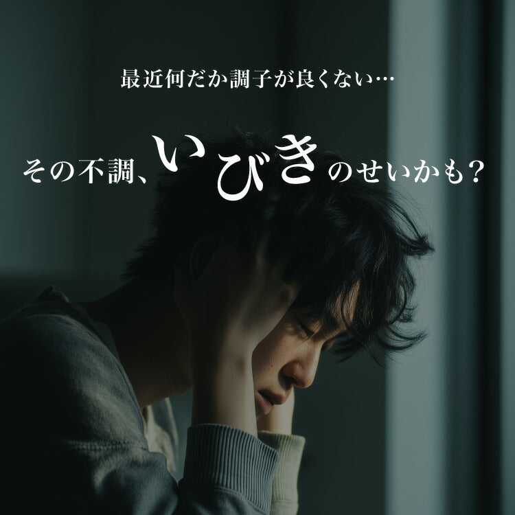 ギフト仕様 いびき軽減枕 パイプ 日本製 高級感 ギフト 洗える 高さ調節可能 パイプ枕 肩こり 首こり いびき改善 いびき イビキ 鼾 枕カバー 国産 プレゼント 父の日 母の日 敬老の日 お父さん 父