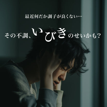 ギフト仕様 いびき軽減枕 パイプ 日本製 高級感 ギフト 洗える 高さ調節可能 パイプ枕 肩こり 首こり いびき改善 いびき イビキ 鼾 枕カバー 国産 プレゼント 父の日 母の日 敬老の日 お父さん 父