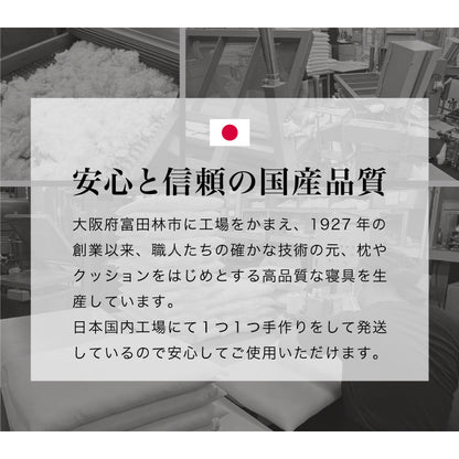 ローピロー 洗える 50×70cm テイジン 日本製 帝人 TEIJIN 低め枕 まくら ピロー テイジン製中綿使用 ウォッシャブル 丸洗い 低い 低め 低い枕 洗える枕 国産 やわらかめ 寝返り【送料無料】