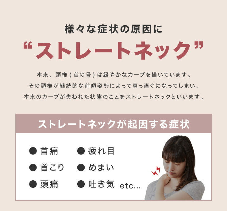 日本製 プロトレーナーが勧めるセミオーダー枕 高さ調整 パイプ 枕 43×63cm 枕カバー付き 洗える 丸洗い 横向き 仰向け 頸椎安定 首 肩 サポート マクラ いびき プレゼント 国産 敬老の日 ギフト