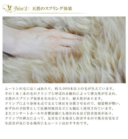 ムートンインソール Sサイズ 天然 羊毛 中敷き インソール 暖かい あったか 保温 防寒 ムートン もこもこ ふわふわ 靴 ブーツ スニーカー EVA ウール 100% シープスキン 冬用 レディース メンズ(代引不可)