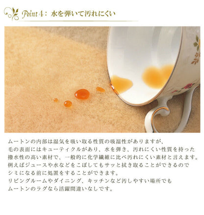 ムートンインソール Sサイズ 天然 羊毛 中敷き インソール 暖かい あったか 保温 防寒 ムートン もこもこ ふわふわ 靴 ブーツ スニーカー EVA ウール 100% シープスキン 冬用 レディース メンズ(代引不可)