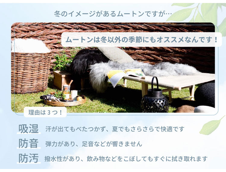 ムートンインソール Sサイズ 天然 羊毛 中敷き インソール 暖かい あったか 保温 防寒 ムートン もこもこ ふわふわ 靴 ブーツ スニーカー EVA ウール 100% シープスキン 冬用 レディース メンズ(代引不可)