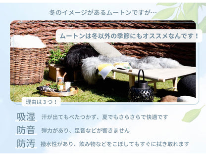 ムートンインソール Sサイズ 天然 羊毛 中敷き インソール 暖かい あったか 保温 防寒 ムートン もこもこ ふわふわ 靴 ブーツ スニーカー EVA ウール 100% シープスキン 冬用 レディース メンズ(代引不可)