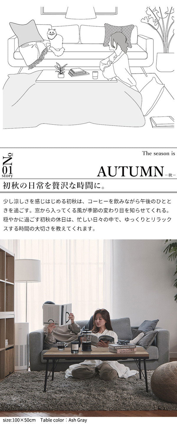 こたつ こたつテーブル ロータイプ 100×50 テーブル ローテーブル センターテーブル 長方形 スタイリッシュ おしゃれ オールシーズン フラットヒーター 省スペース 省エネ ヴィンテージ アイアン(代引不可)