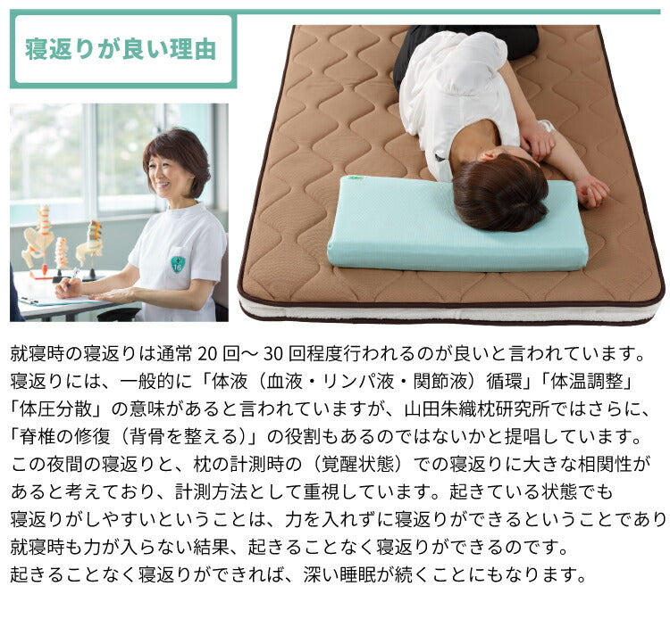 丸八真綿 山田朱織枕研究所 整形外科 敷布団 シングル 折りたたみ 三つ折り 敷き布団 硬め 寝返り 安眠 シンプル モダン 新生活 一人暮らし(代引不可)