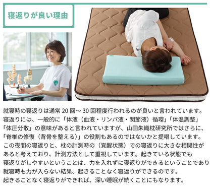 丸八真綿 山田朱織枕研究所 整形外科 敷布団 シングル 折りたたみ 三つ折り 敷き布団 硬め 寝返り 安眠 シンプル モダン 新生活 一人暮らし(代引不可)