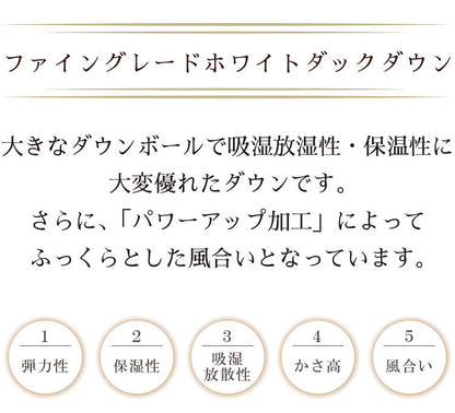 ファイングレードホワイトダックダウン90% 羽毛肌掛け布団 シングル 150×210cm 重量0.4kg 日本製 丸八真綿 肌掛けふとん 掛けふとん 布団(代引不可)
