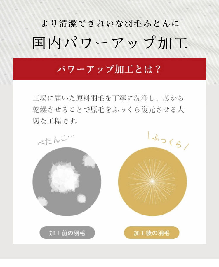 ファイングレードホワイトダックダウン90% 羽毛肌掛け布団 シングル 150×210cm 重量0.4kg 日本製 丸八真綿 肌掛けふとん 掛けふとん 布団(代引不可)