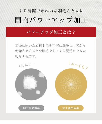 ファイングレードホワイトダックダウン90% 羽毛肌掛け布団 シングル 150×210cm 重量0.4kg 日本製 丸八真綿 肌掛けふとん 掛けふとん 布団(代引不可)