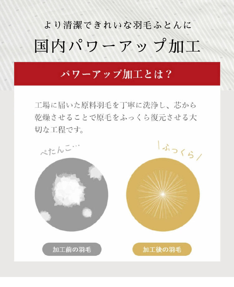ファイングレードホワイトダックダウン95% 羽毛本掛け布団 シングル 150×210cm 重量1.2kg 日本製 丸八真綿 肌掛けふとん 掛けふとん 布団(代引不可)