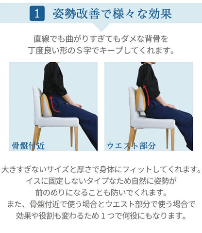日本製 ビーズクッション ビーズ背当て 背当て ビーズ クッション デスクワーク 在宅ワーク 腰痛 おしゃれ かわいい 背もたれ イス 足枕 腰枕 まくら 背中 腰 コンパクト 肘置き 赤ちゃん 丸八真綿(代引不可)