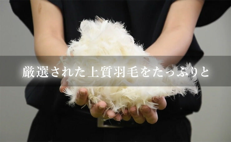 パイプ羽根枕 63×43cm パイプ フェザー 羽根 丸八真綿 両面対応 上質羽毛 寝心地調整 綿100% クリーム 無地 ストレートネック 安眠 快眠 シンプル 機能的 コンビネーション枕 ピロー まくら 羽毛