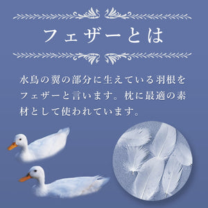 フェザー枕 羽根枕 丸八真綿 ホテル仕様 羽根1.5倍 増量タイプ 63×43cm 上質羽毛 綿100% クリーム 無地 ストレートネック 安眠 快眠 まくら ピロー 羽毛まくら 羽毛枕 Sleep Artist