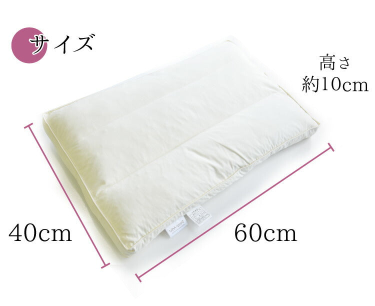 枕 フェザーパイマー枕 パイプ 羽根 丸八真綿 ホテル仕様 60×40cm 低め 両面対応 ストレートネック 綿100% ボックスタイプ クリーム 本格 安眠 快眠 まくら ピロー 羽毛まくら 羽毛枕 Sleep Artist