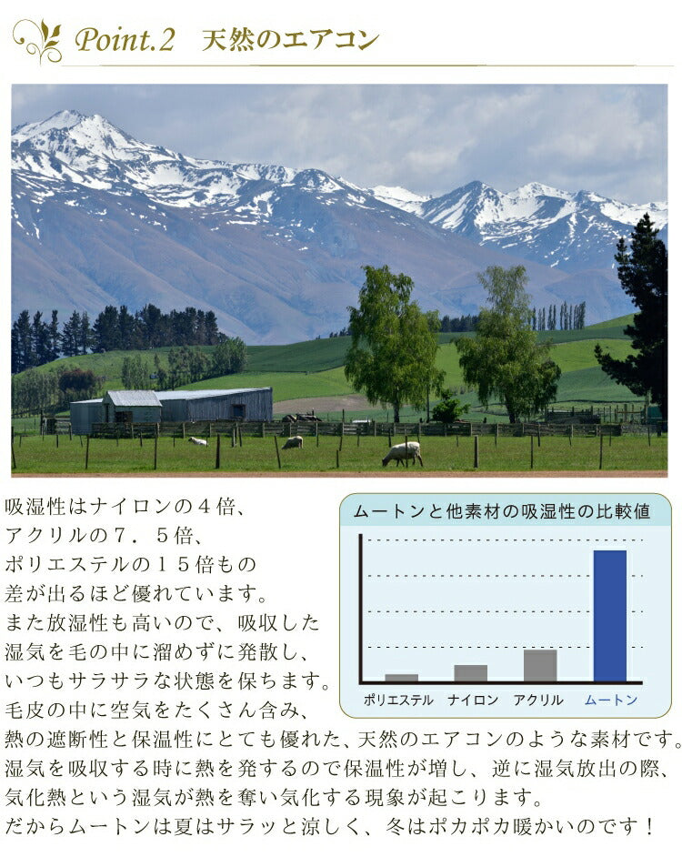 ムートンスリッパ ムートン100% 天然素材 レディース メンズ おしゃれ ルームシューズ 来客用 あったか 暖かい 冬 スリッパ ダブルフェイス ラムファー 室内履き リアルムートン(代引不可)