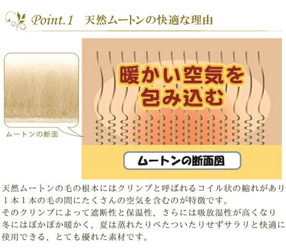 ムートン クッション ムートンカーシートクッション 約45×45cm ウレタン入り 長毛タイプ ムートンクッション ふわふわ ウレタン(代引不可)