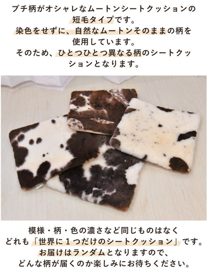 シートクッション 40×40cm 天然ムートン ダイニングチェア クッション オシャレ ムートンシートクッション ぶち柄 短毛 ムートン クッション 座布団 ソファー かわいい(代引不可)