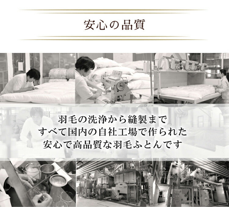丸八真綿 羽毛布団 シングル 150×210cm 柄お任せ 選べるカラー ハンガリー産ダウン85%羽毛布団 ホワイトダックダウン85%使用 1.1kg 立体キルト 羽毛ふとん 羽毛掛けふとん 掛けふとん(代引不可)