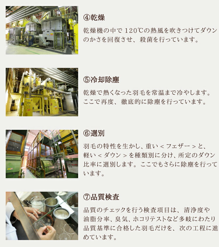 丸八真綿 羽毛布団 シングル 150×210cm 柄お任せ 選べるカラー ハンガリー産ダウン85%羽毛布団 ホワイトダックダウン85%使用 1.1kg 立体キルト 羽毛ふとん 羽毛掛けふとん 掛けふとん(代引不可)