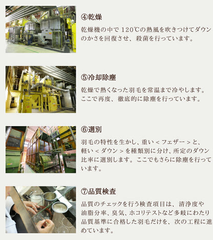 丸八真綿 羽毛布団 シングル 150×210cm 柄お任せ 選べるカラー ハンガリー産ダウン85%羽毛布団 ホワイトダックダウン85%使用 1.1kg 立体キルト 羽毛ふとん 羽毛掛けふとん 掛けふとん(代引不可)