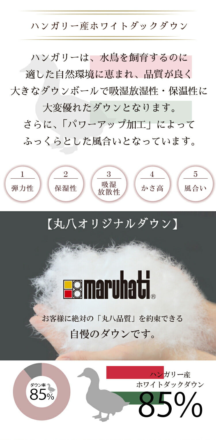 丸八真綿 羽毛布団 シングル 150×210cm 柄お任せ 選べるカラー ハンガリー産ダウン85%羽毛布団 ホワイトダックダウン85%使用 1.1kg 立体キルト 羽毛ふとん 羽毛掛けふとん 掛けふとん(代引不可)