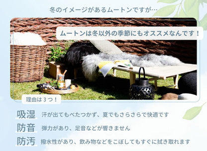 ムートンドーナツクッション 円座クッション ドーナツクッション クッション 直径約40cm 直径約40cm ドーナツ型 かわいい グレージュ ブラウン(代引不可)