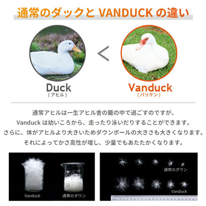 ダウンパンツ 羽毛 レディース 軽量 VANDUCK ダウン 防寒ダウンパンツ 温かい アウトドア 登山 防寒 暖かい シニア 洗濯可能(代引不可)